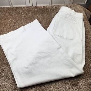 American Eagle Dreamy Drape Low-Rise Ultra Wide Leg White Stretch Pant Large NWT